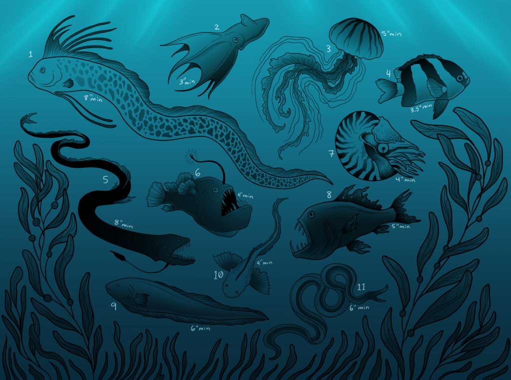 a flash page on a blue ocean background full of various sea creatures, mostly the deeper sea variety, and bordered by kelp and ocean plants. 1- an oarfish, 8 inch min; 2- a vampire squid, 3 inch min; 3- a jellyfish, 5 inch min; 4- a striped angelfish, 3.5 inch min; 5- a black dragon eel, 8 inch min; 6- an anglerfish, 4 inch min; 7- a nautilus, 4 inch min; 8- a fangtooth fish, 5 inch min; 9- a deep sea eel, 6 inch min; 10- a snailfish, 4 inch min; 11- a ribbon eel, 6 inch min