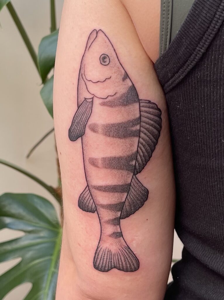 a tattoo of a perch fish in black and grey dot shading