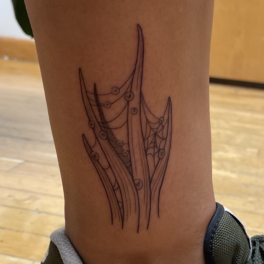 a tattoo of some blades of grass with dew on them and cobwebs hanging off